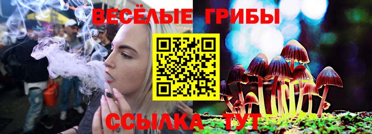 купить   Галлюциногенные грибы Psilocybe  Псилоцибиновые грибы прущие грибы  Вход с VPN  Бузулук 
